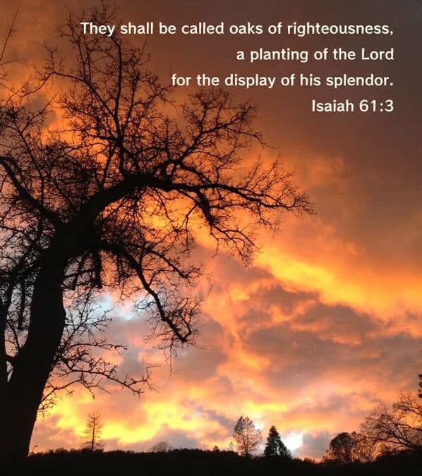 Othniel